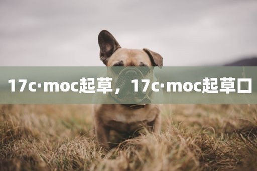 17c·moc起草，17c·moc起草口
