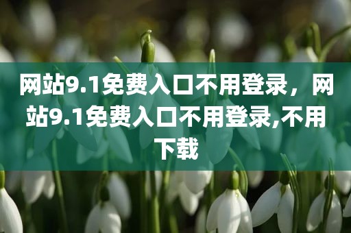 网站9.1免费入口不用登录，网站9.1免费入口不用登录,不用下载