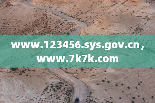 www.123456.sys.gov.cn，www.7k7k.com