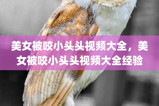 美女被咬小头头视频大全，美女被咬小头头视频大全经验