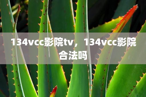 134vcc影院tv，134vcc影院合法吗