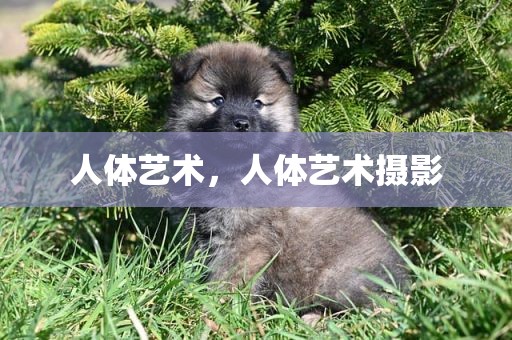 人体艺术，人体艺术摄影