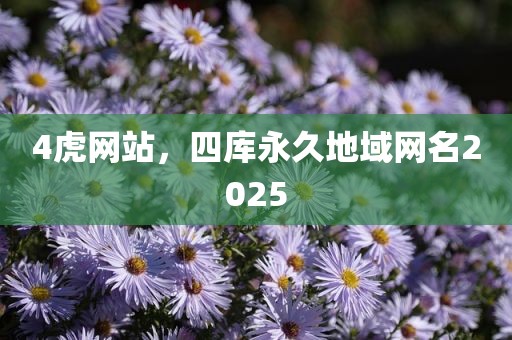 4虎网站，四库永久地域网名2025