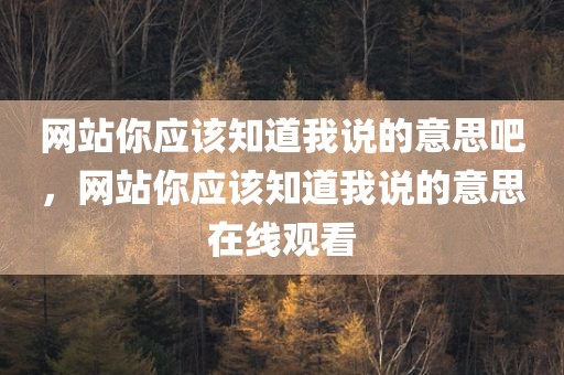 网站你应该知道我说的意思吧，网站你应该知道我说的意思在线观看