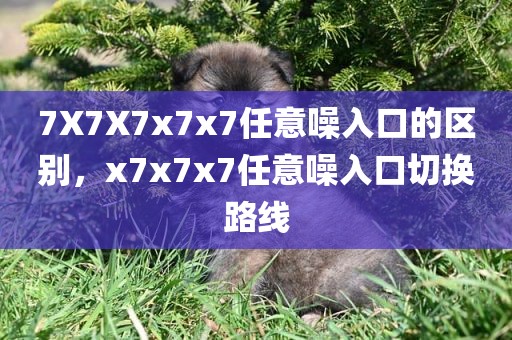 7X7X7x7x7任意噪入口的区别，x7x7x7任意噪入口切换路线