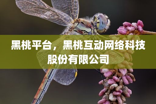黑桃平台，黑桃互动网络科技股份有限公司