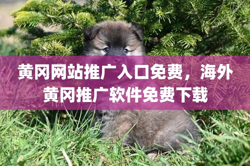 黄冈网站推广入口免费，海外黄冈推广软件免费下载