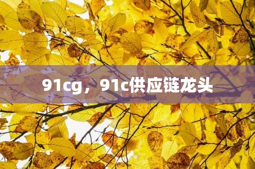 91cg，91c供应链龙头