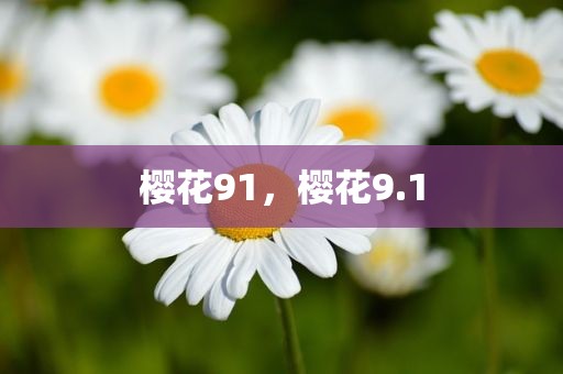 樱花91，樱花9.1