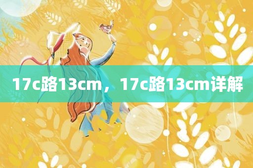 17c路13cm，17c路13cm详解