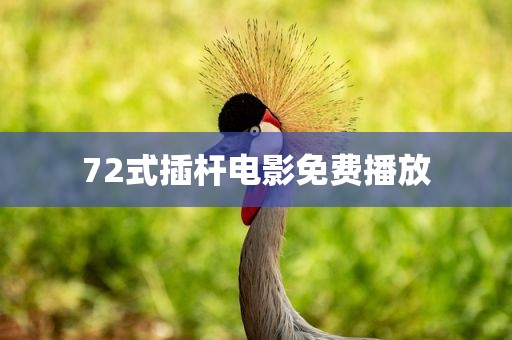 72式插杆电影免费播放