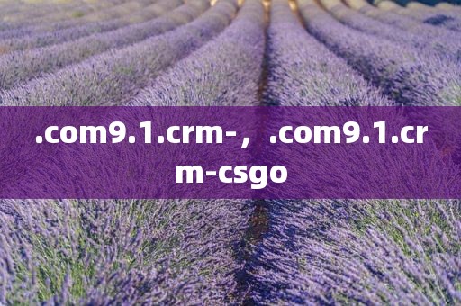 .com9.1.crm-，.com9.1.crm-csgo
