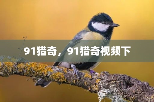 91猎奇，91猎奇视频下