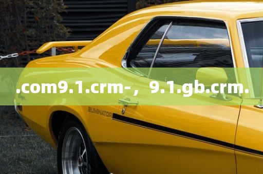 .com9.1.crm-，9.1.gb.crm.