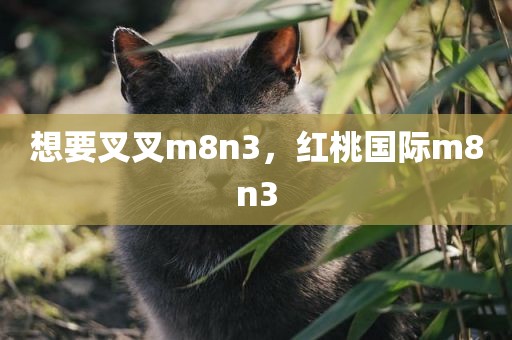 想要叉叉m8n3，红桃国际m8n3