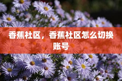 香蕉社区，香蕉社区怎么切换账号