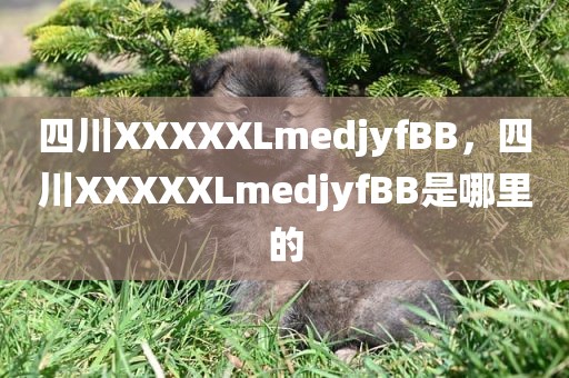 四川XXXXXLmedjyfBB，四川XXXXXLmedjyfBB是哪里的