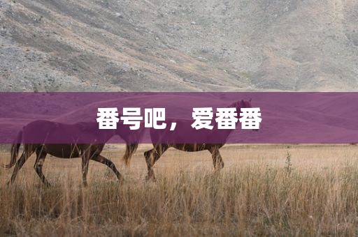 番号吧，爱番番
