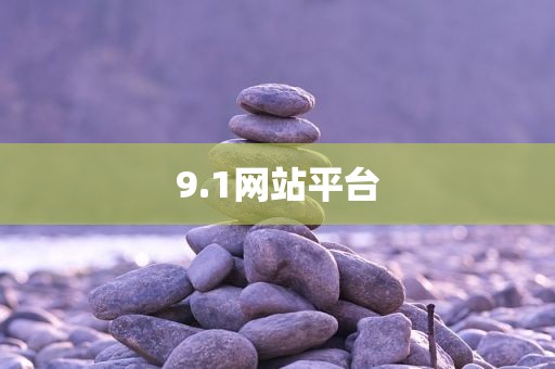 9.1网站平台