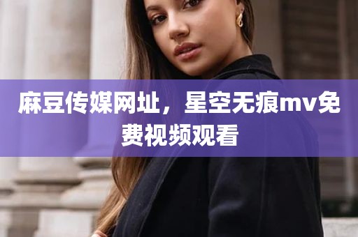 麻豆传媒网址，星空无痕mv免费视频观看