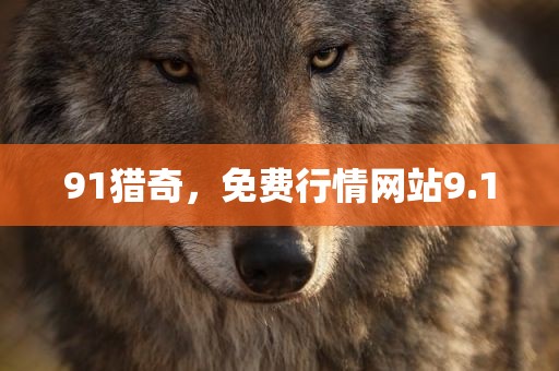 91猎奇，免费行情网站9.1