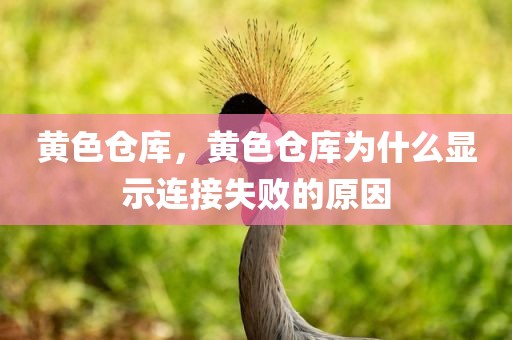 黄色仓库，黄色仓库为什么显示连接失败的原因