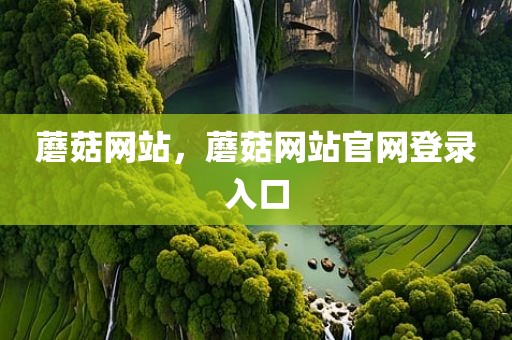 蘑菇网站，蘑菇网站官网登录入口
