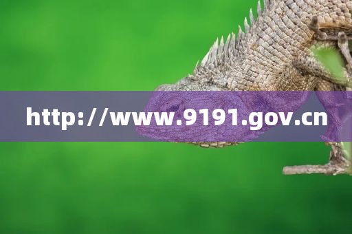 http://www.9191.gov.cn
