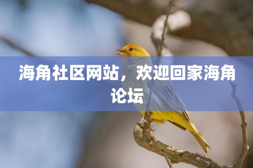 海角社区网站，欢迎回家海角论坛
