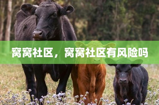 窝窝社区，窝窝社区有风险吗