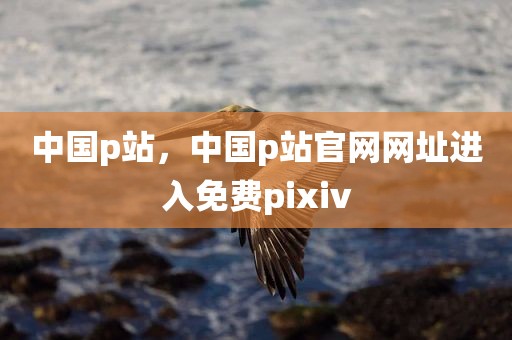 中国p站，中国p站官网网址进入免费pixiv