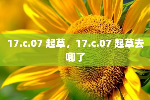 17.c.07 起草，17.c.07 起草去哪了