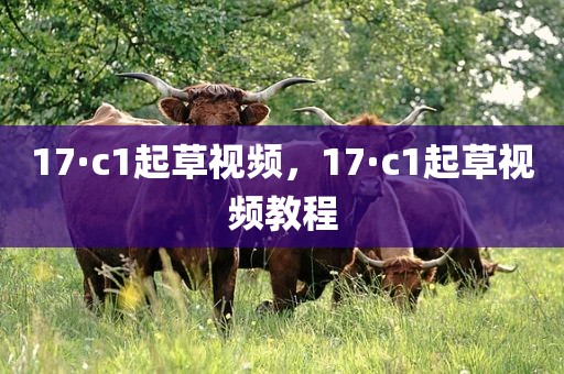 17·c1起草视频，17·c1起草视频教程