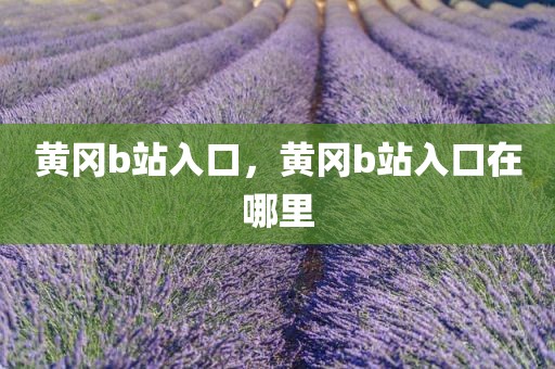 黄冈b站入口，黄冈b站入口在哪里