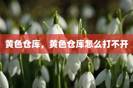 黄色仓库，黄色仓库怎么打不开
