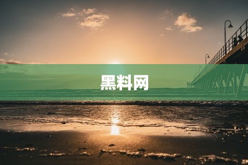 黑料网