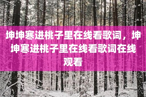 坤坤寒进桃子里在线看歌词，坤坤寒进桃子里在线看歌词在线观看