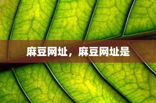 麻豆网址，麻豆网址是