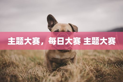 主题大赛，每日大赛 主题大赛