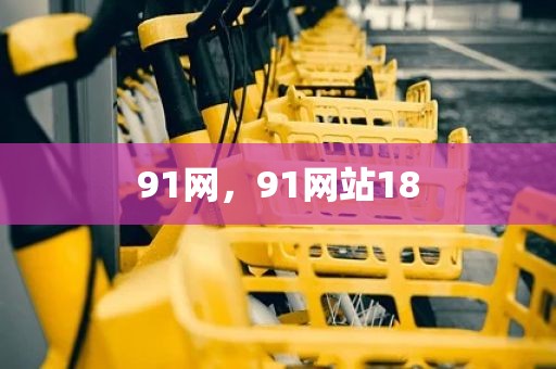 91网，91网站18