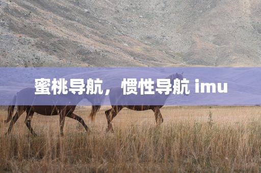 蜜桃导航，惯性导航 imu