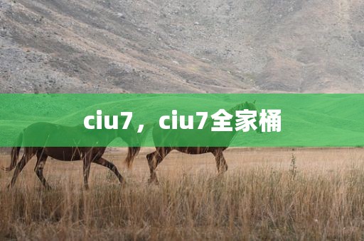 ciu7，ciu7全家桶