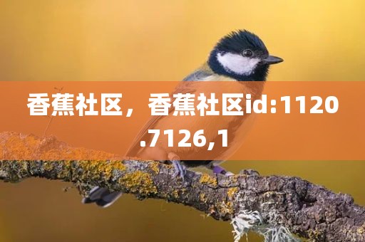 香蕉社区，香蕉社区id:1120.7126,1