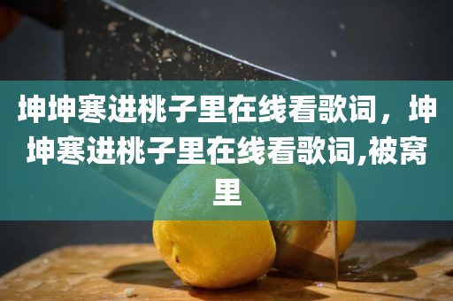 坤坤寒进桃子里在线看歌词，坤坤寒进桃子里在线看歌词,被窝里