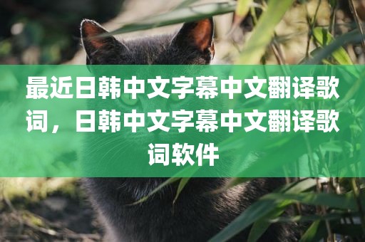 最近日韩中文字幕中文翻译歌词，日韩中文字幕中文翻译歌词软件