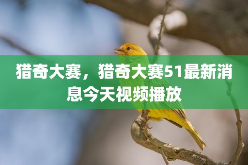 猎奇大赛，猎奇大赛51最新消息今天视频播放