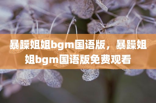 暴躁姐姐bgm国语版，暴躁姐姐bgm国语版免费观看