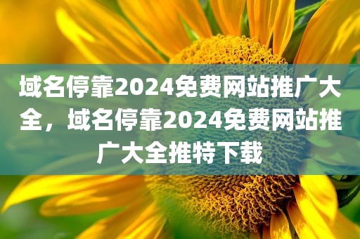域名停靠2024免费网站推广大全，域名停靠2024免费网站推广大全推特下载
