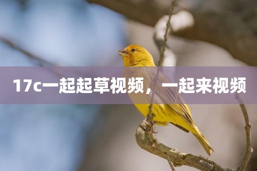 17c一起起草视频，一起来视频