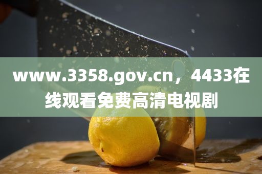 www.3358.gov.cn，4433在线观看免费高清电视剧